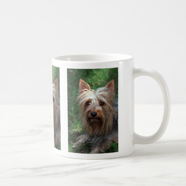 Mug Jouet Terrier soyeux (Droite)