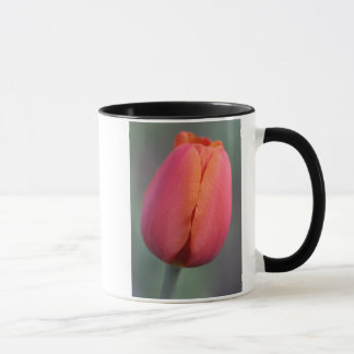 Mug jour