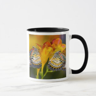Mug Jumeaux de papillons tropicaux