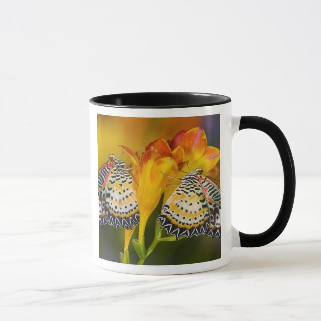 Mug Jumeaux de papillons tropicaux (Droite)