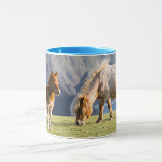Mug Jument avec poulain, îles Shetland, Écosse (Centre)