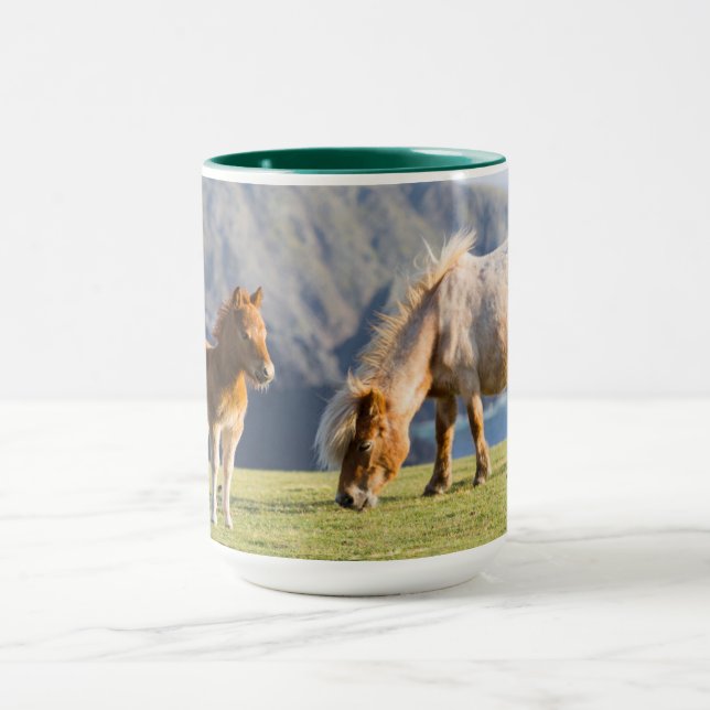 Mug Jument avec poulain, îles Shetland, Écosse (Centre)