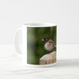 Mug Junco aux yeux noirs – Photographie d'art de l'ois