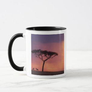 Mug Kenya : Parc national de Masai Mara, Coucher de so