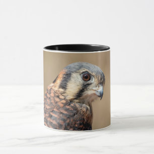 Mug Kestrel américain