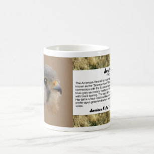 Mug Kestrel américain