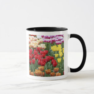 Mug Keukenhof Gardens, Hollande, se spécialise dans 2