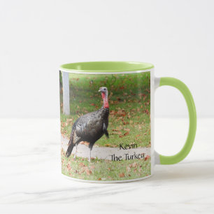 Mug Kevin The Turkey - Old Wethersfield, CT (2 photos)