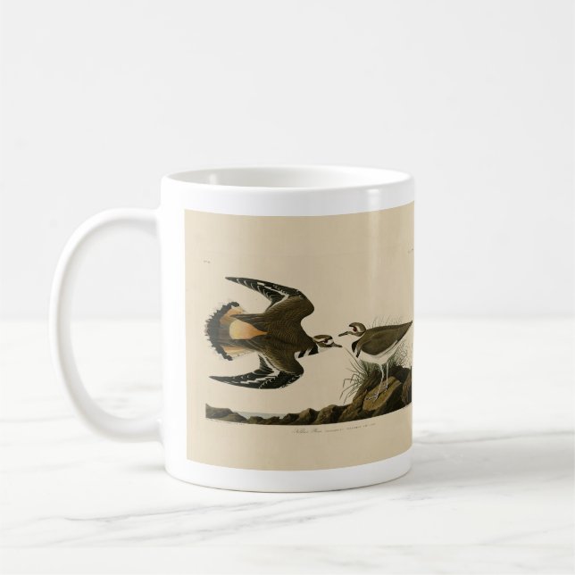 Mug Kildeer Plover (Killdeer) Audubon Birds of America (Gauche)
