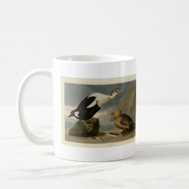 Mug King Duck (roi Eider) Audubon's Birds of America (Gauche)