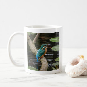 Mug Kingfisher Bird
