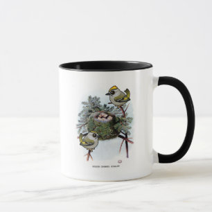 Mug Kinglet D'or-couronné par cru