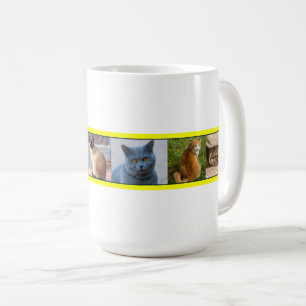 Mug Kitties partout