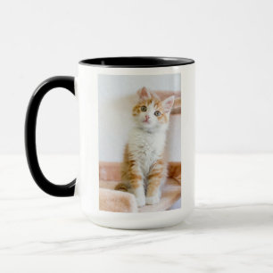 Mug Kitty observé par bleu doux