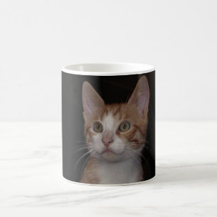 Mug Kitty rouge - jeune chat, arrière - plan noir