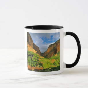 Mug Kolob Canyon à Zion Canyon dans Zion National