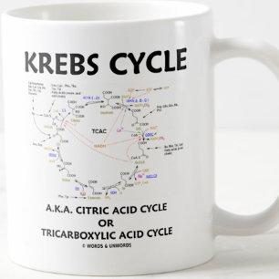 Mug Krebs Cycle A.K.A. Cycle Citrique Acide Tricarboxy