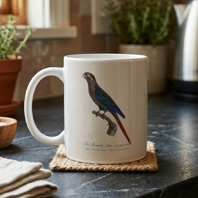 Mug La Conure emmaillotée, Pyrrhura Picta (The Painted Parakeet, Pyrrhura Picta. Coffee Mug)