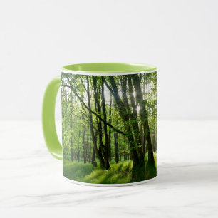 Mug La Forêt au printemps
