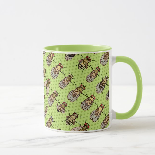 Mug La génétique de mouche à fruit de drosophile - (Droite)