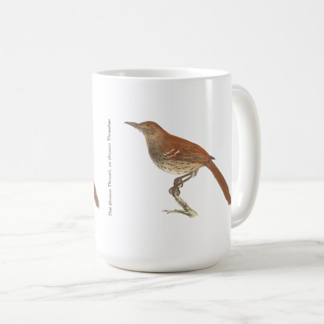Mug La Grive Brown ou le Trasher Brown, New York Birds (Devant droit)