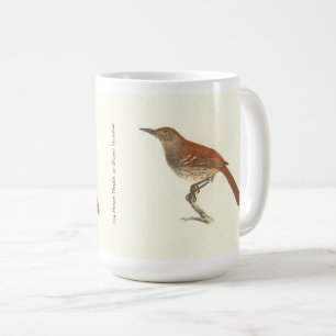 Mug La Grive Brown ou le Trasher Brown, New York Birds