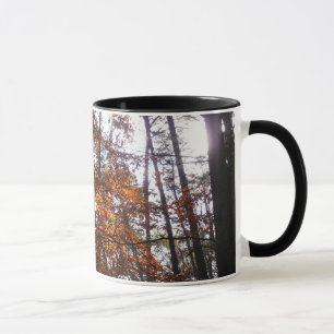 Mug La lumière du soleil dans l'arbre d'automne de la