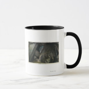 Mug La moitié cachée tombe vue de jugement Hall de