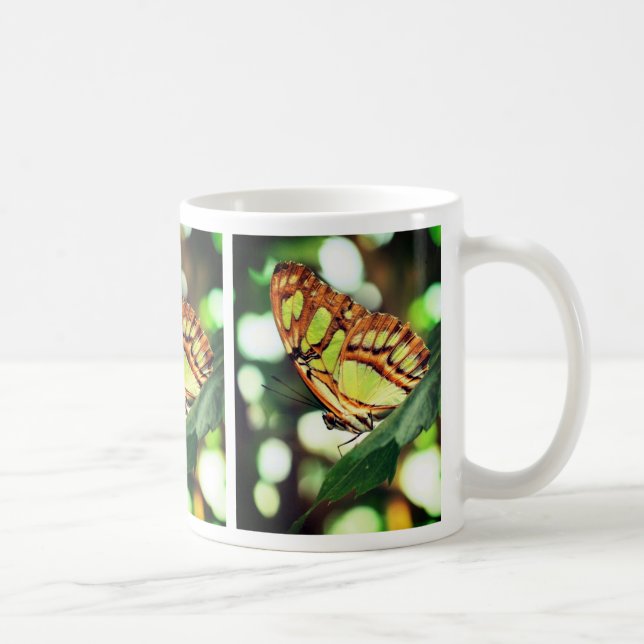Mug La nature de l'observation des papillons (Droite)