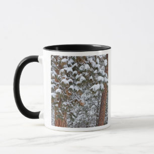 Mug La neige remplit les branches des pins ponderosa