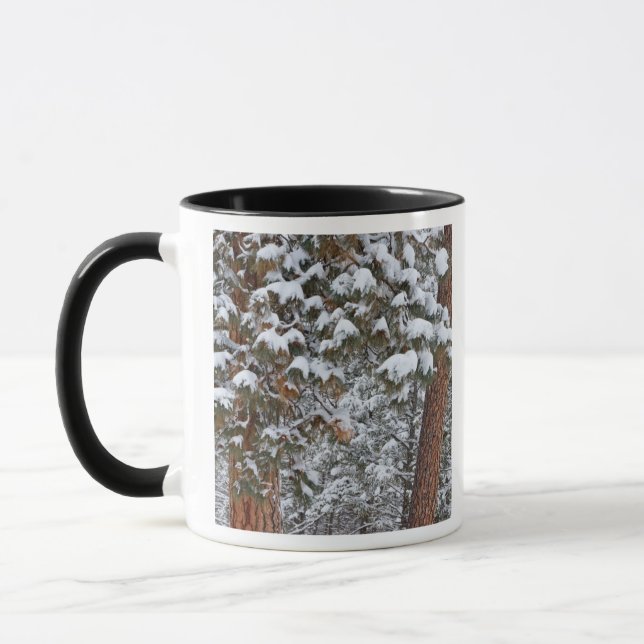 Mug La neige remplit les branches des pins ponderosa (Gauche)