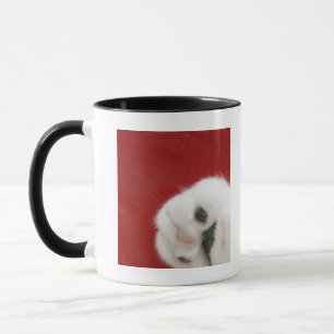 Mug La patte du chat