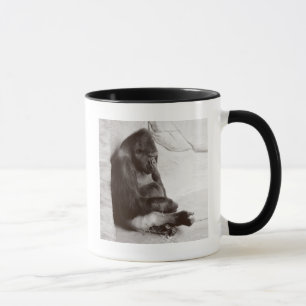 Mug La photographie Sommeil Gorilla