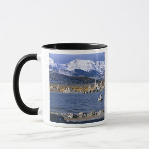 MUG LA RÉSERVE NATURELLE DE MONO LAKE TUFA,