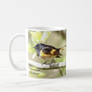 Mug La rougeole américaine par Birding Collectibles
