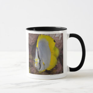 Mug La vie sous-marine, POISSON :  Un tropical coloré
