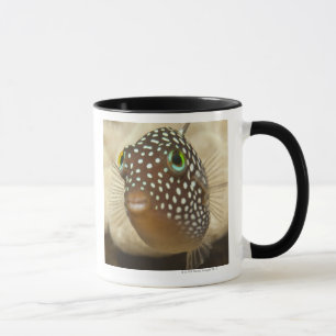Mug La vie sous-marine ; POISSONS : Portrait en gros