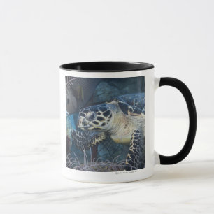 Mug La vie sous-marine : Une tortue de mer de