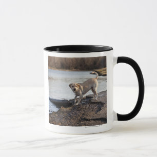 Mug Labrador blanc près d'un lac