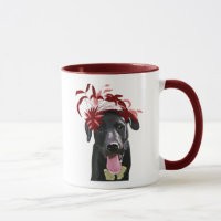Labrador Noir Avec Fascinateur Rouge