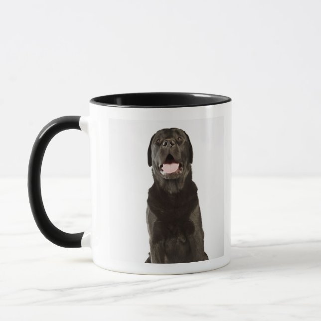 Mug Labrador noir (familiaris de Canis), haletant, (Gauche)