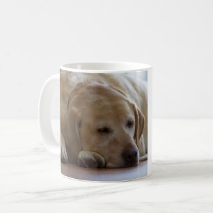 Mug Labrador retriever jaune somnolent