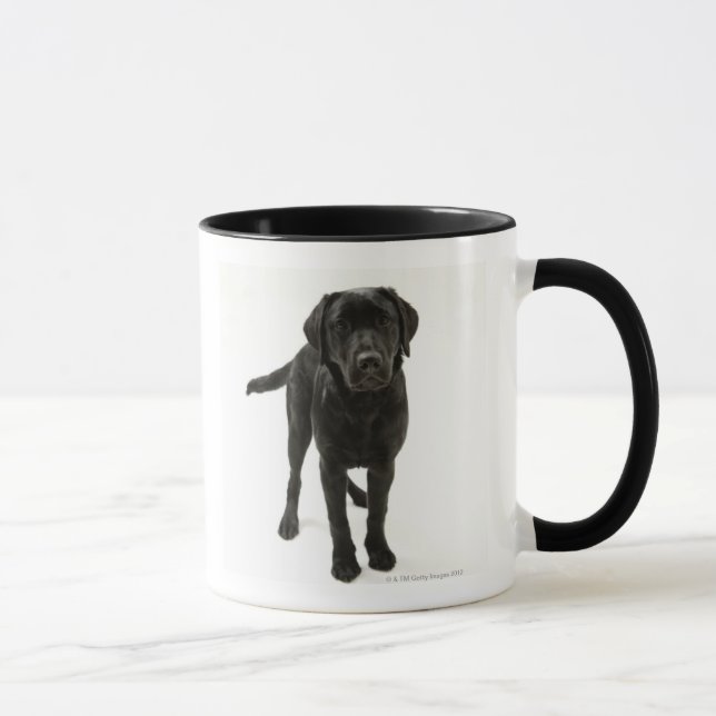 Mug Labrador retriever noir (Droite)