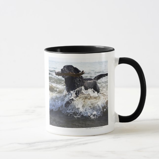 Mug Labrador retriever noir fonctionnant par le surf (Droite)