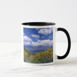 Mug Lac Wakatipu et The Remarkables, Queenstown,