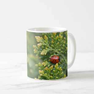 Mug Ladybug
