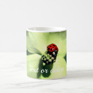 Mug Ladybug Sur Fleur De Dogwood Personnalisé
