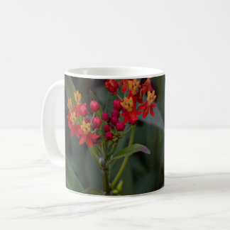Mug Lait tropical