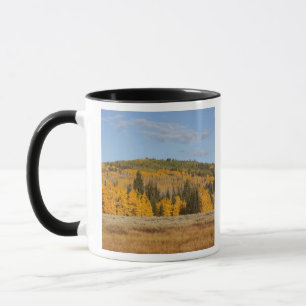 Mug Lambert Hollow, trembles