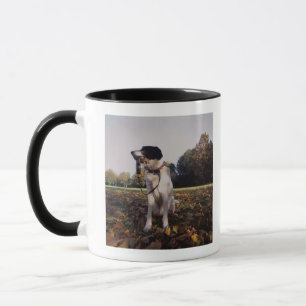 Mug L'Angleterre, St Albans